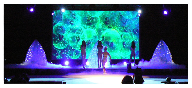 Slide 7